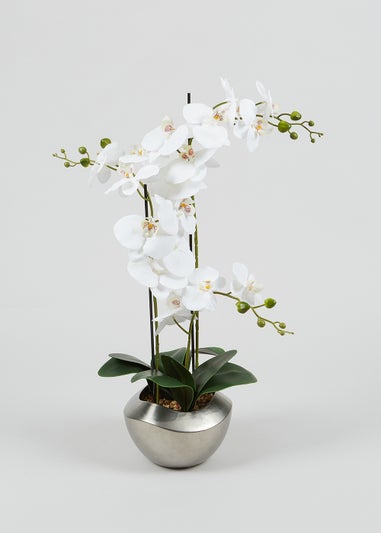 Farhi by Nicole Farhi Orchid in Metal Pot (65cm x 21cm)