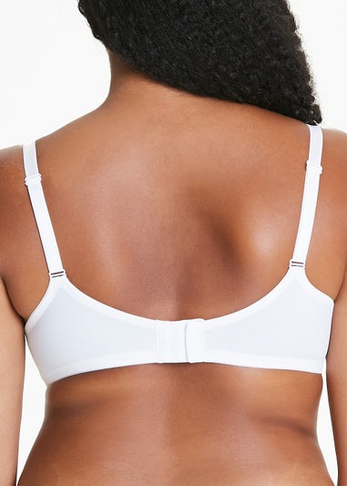 2 Pack DD+ Padded Underwired T-Shirt Bras