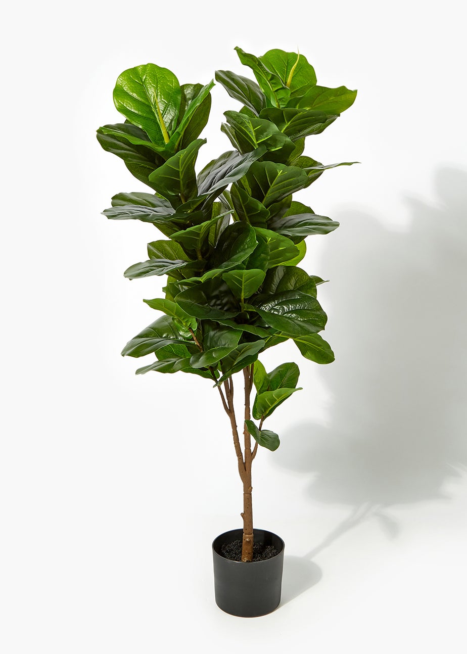 Fiddle Leaf Fig Tree (120cm x 14cm)