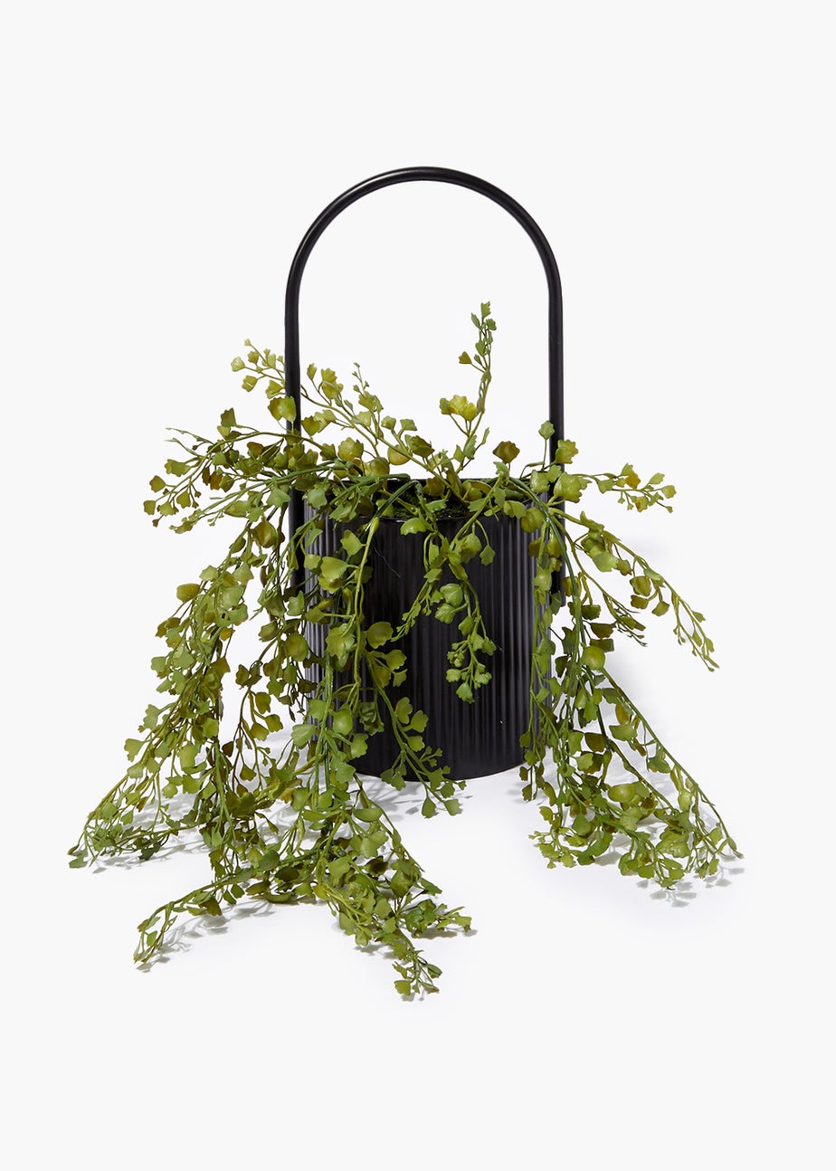 Trailing Plant in Black Metal Pot (43cm)