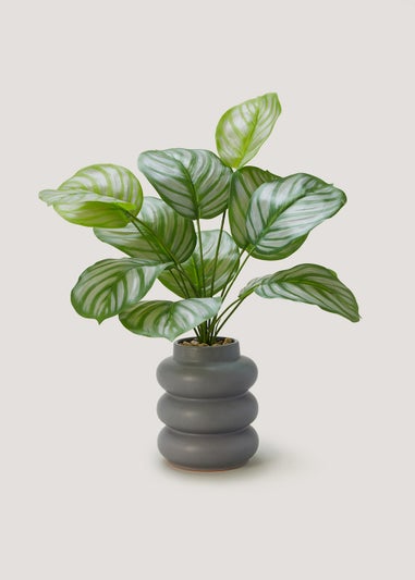 Grey Ribbed Potted Plant (49cm)