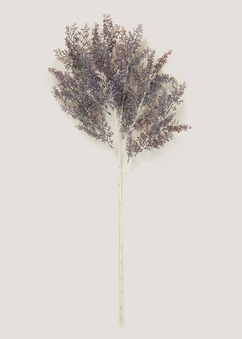 Purple Ruscus Single Stem (70cm)