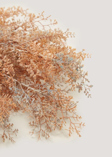 Orange Ruscus Single Stem (70cm)