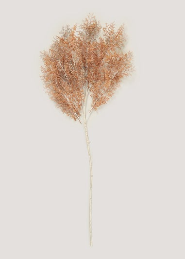 Orange Ruscus Single Stem (70cm)