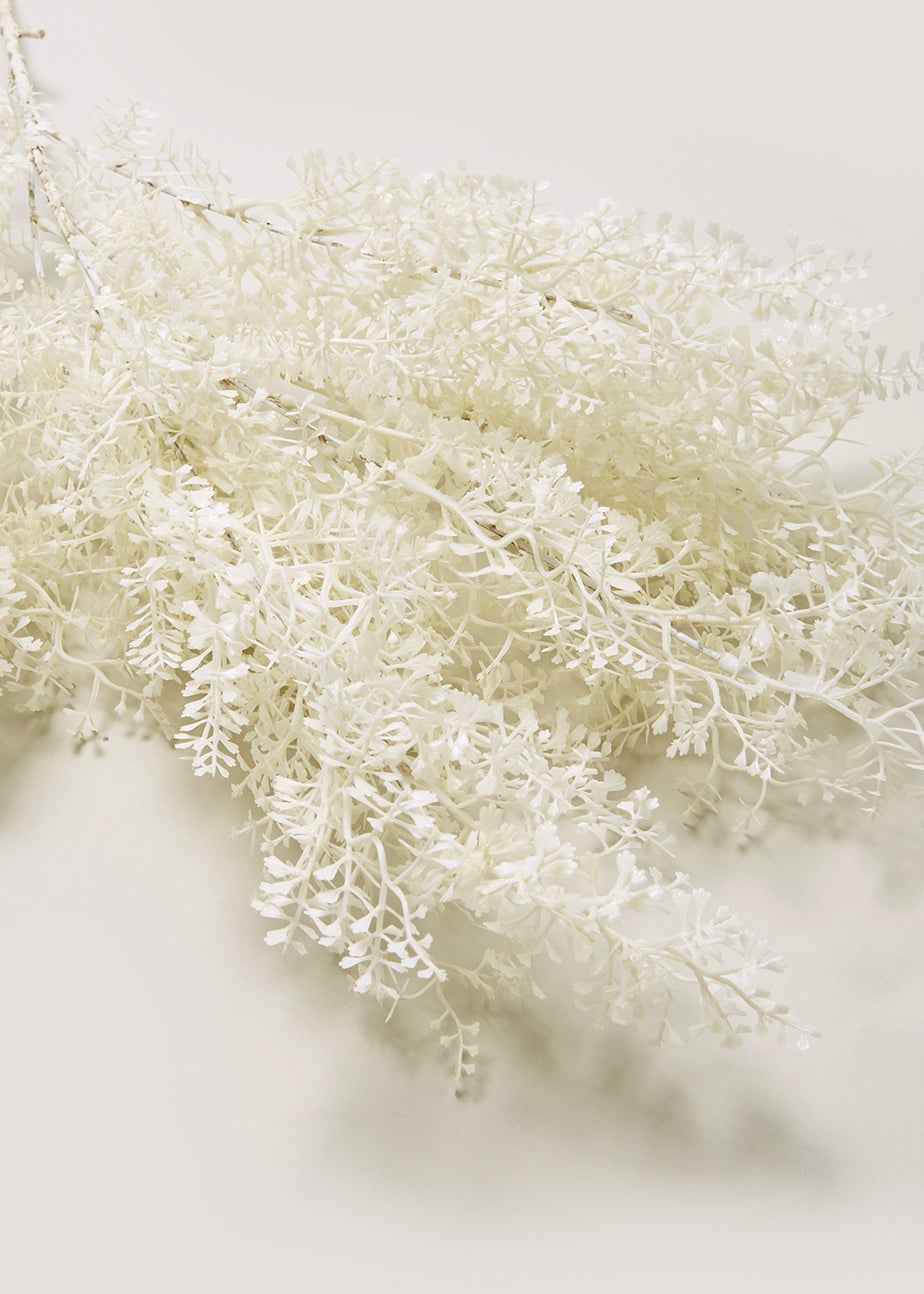 White Ruscus Single Stem (70cm)