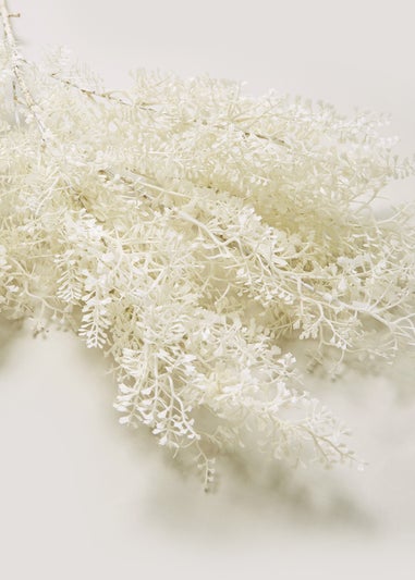 White Ruscus Single Stem (70cm)