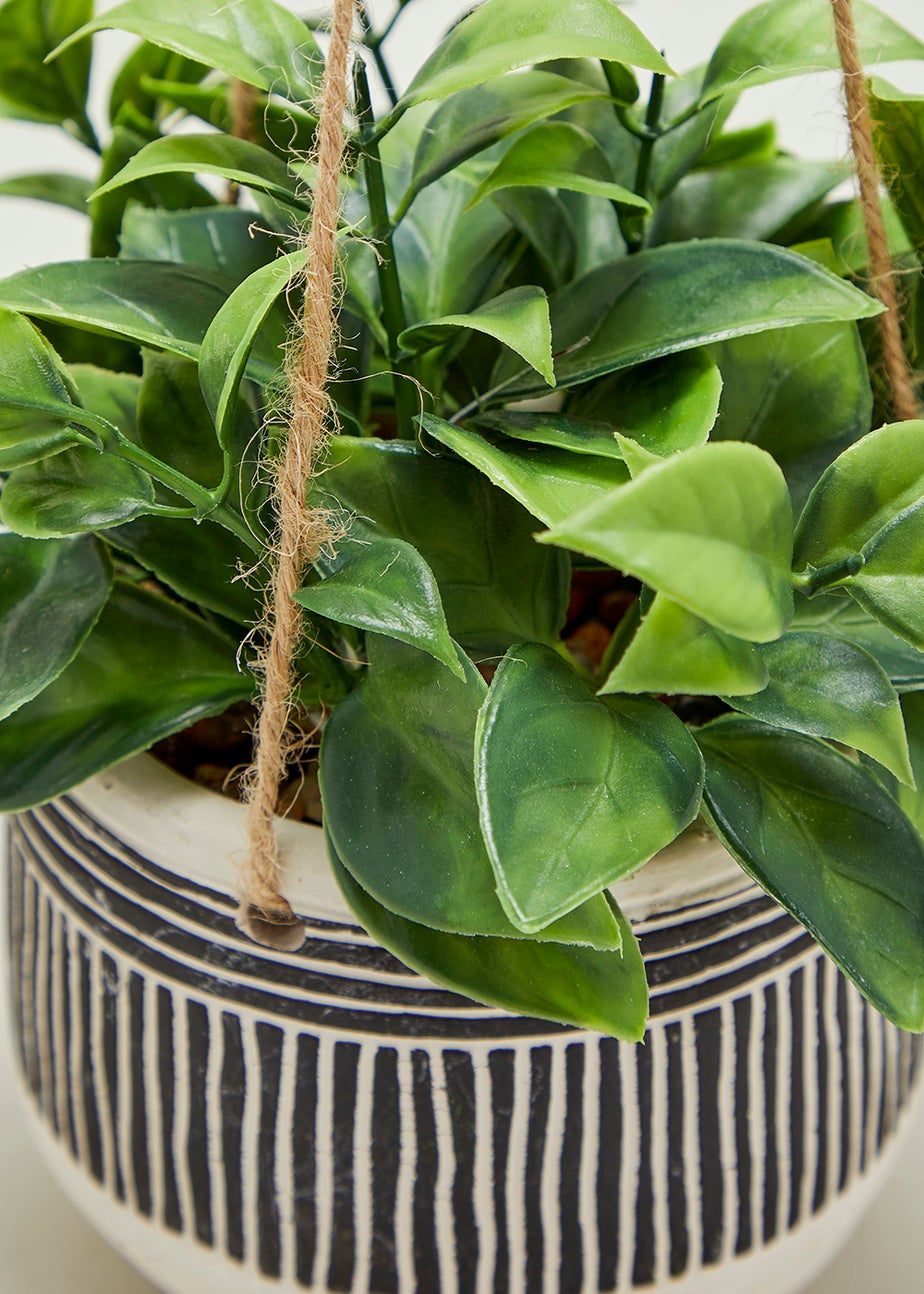 Hanging Plant in Pot (18cm)