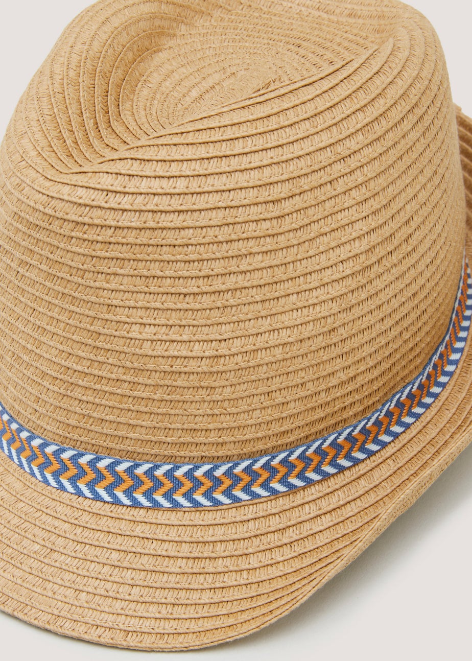 Brown Multicoloured Band Trilby Hat