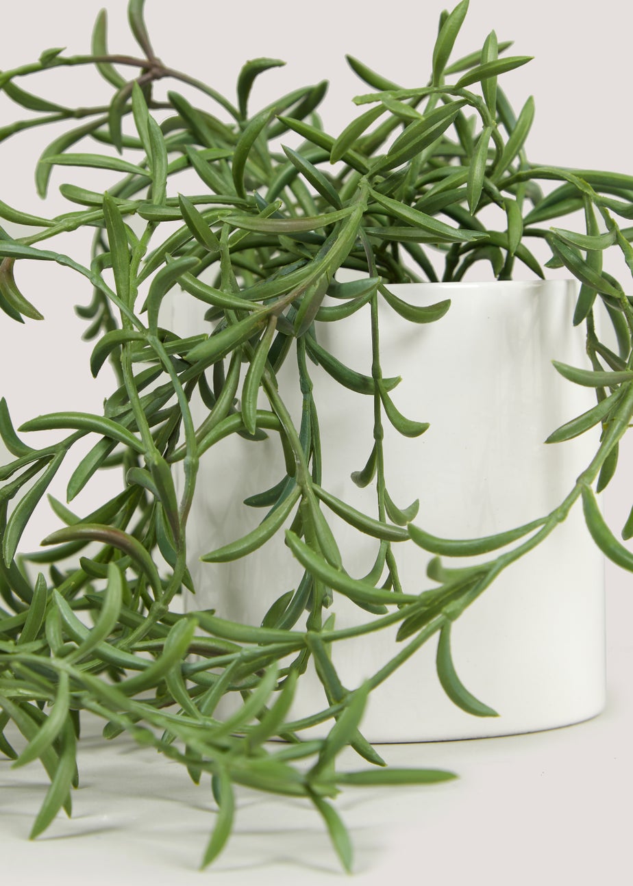 Trailing Plant in White Pot (12cm x 10cm)
