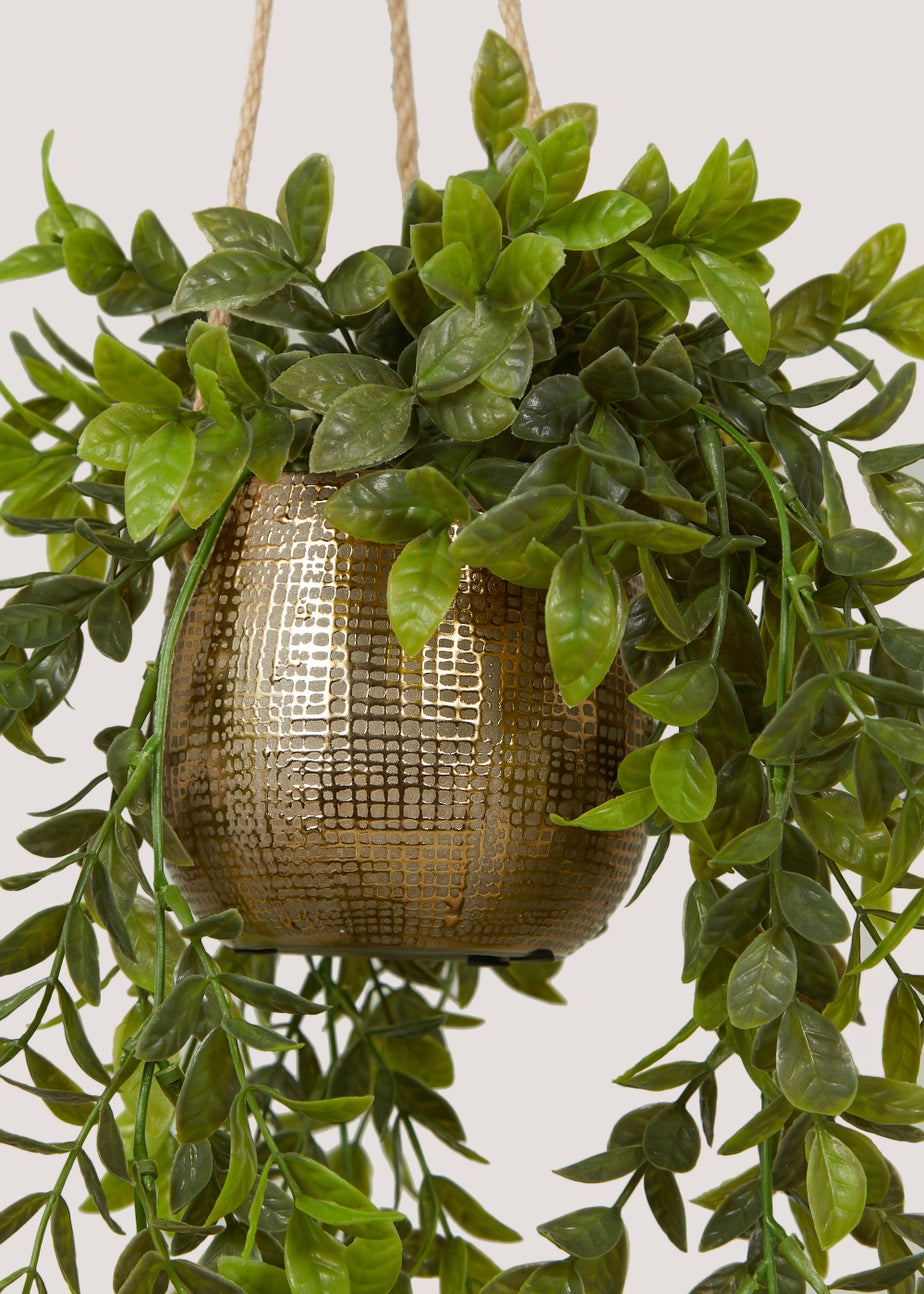 Hanging Trailing Plant in Gold Pot