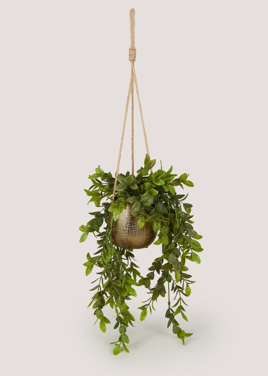 Hanging Trailing Plant in Gold Pot