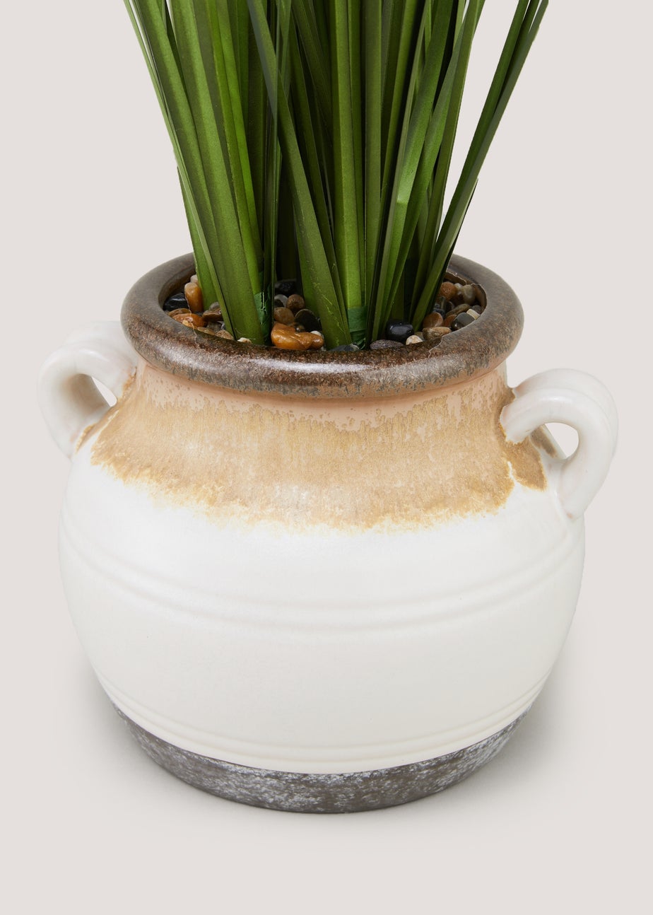Grass in Reactive Pot (90cm x 24cm x 24cm)