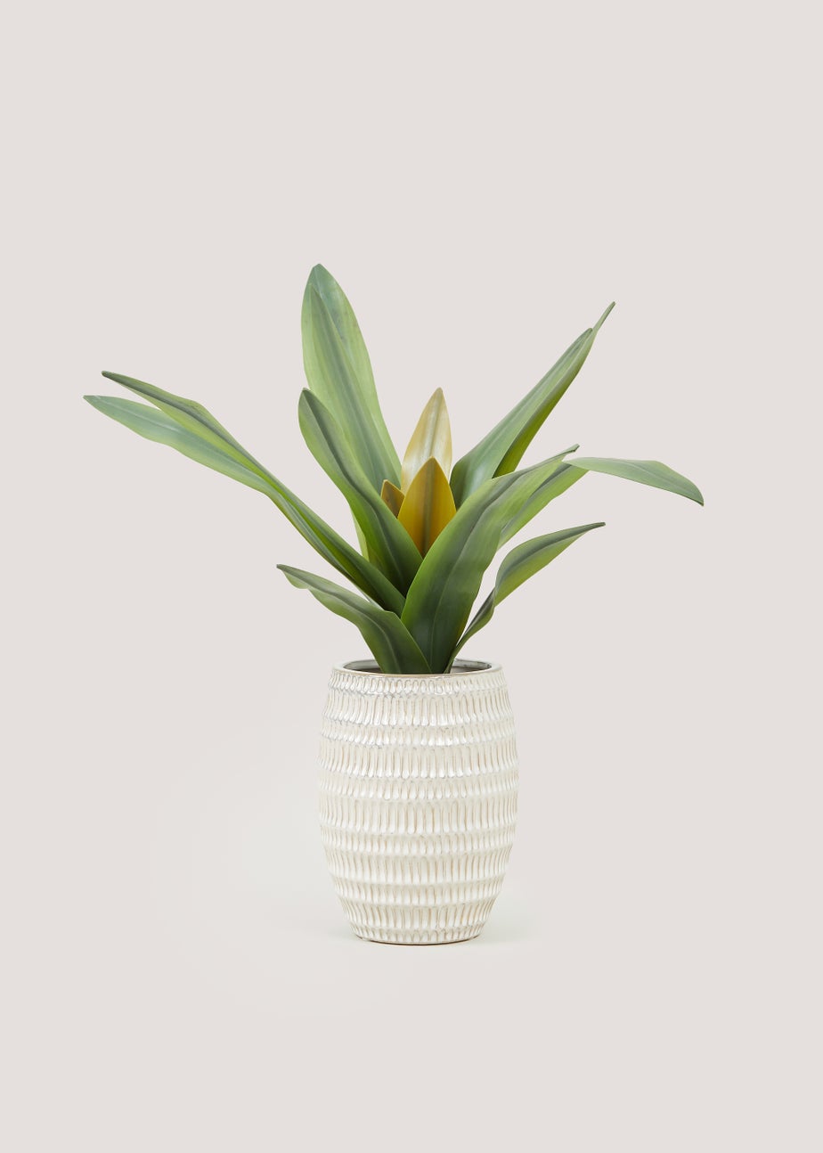 Leaf Plant in Embossed Pot (41cm)