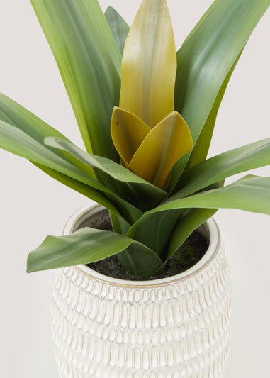 Leaf Plant in Embossed Pot (41cm)