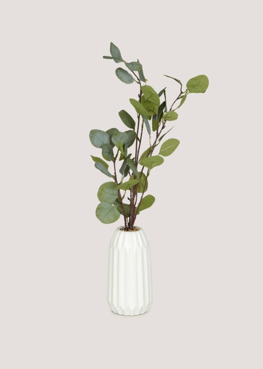 Leafy Plant in White Ribbed Pot (58cm x 9.5cm)
