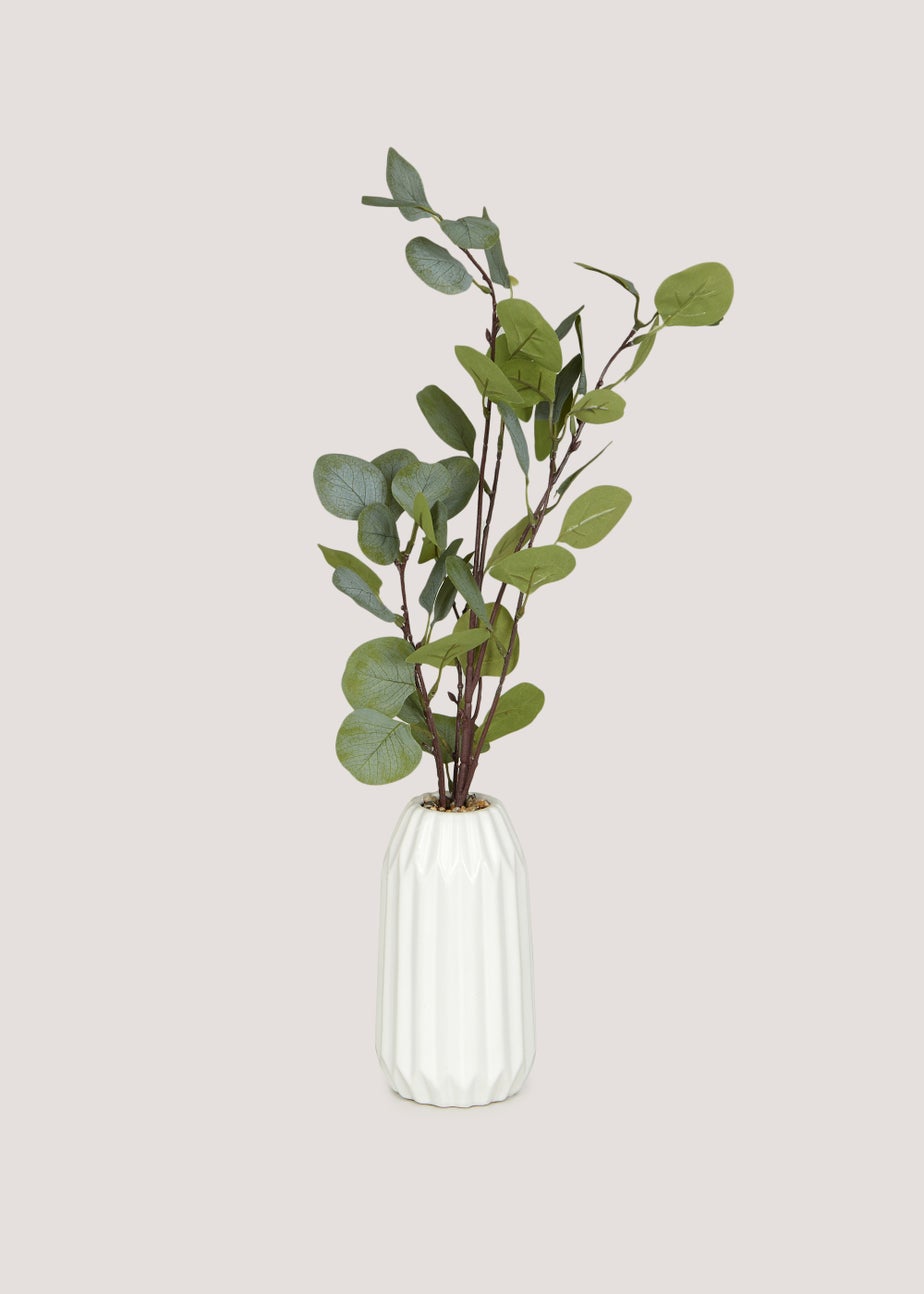 Leafy Plant in White Ribbed Pot (58cm x 9.5cm)