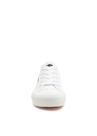 Rocket Dog Jazzin Plus Black Daisy Sneakers