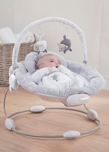 East Coast Counting Sheep Bouncer