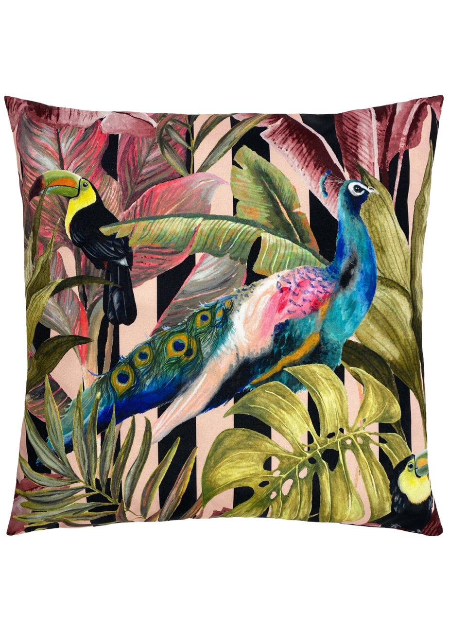 Evans Lichfield Toucan & Peacock Outdoor Filled Cushion (43cm x 43cm x 8cm)