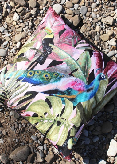 Evans Lichfield Toucan & Peacock Outdoor Filled Cushion (43cm x 43cm x 8cm)