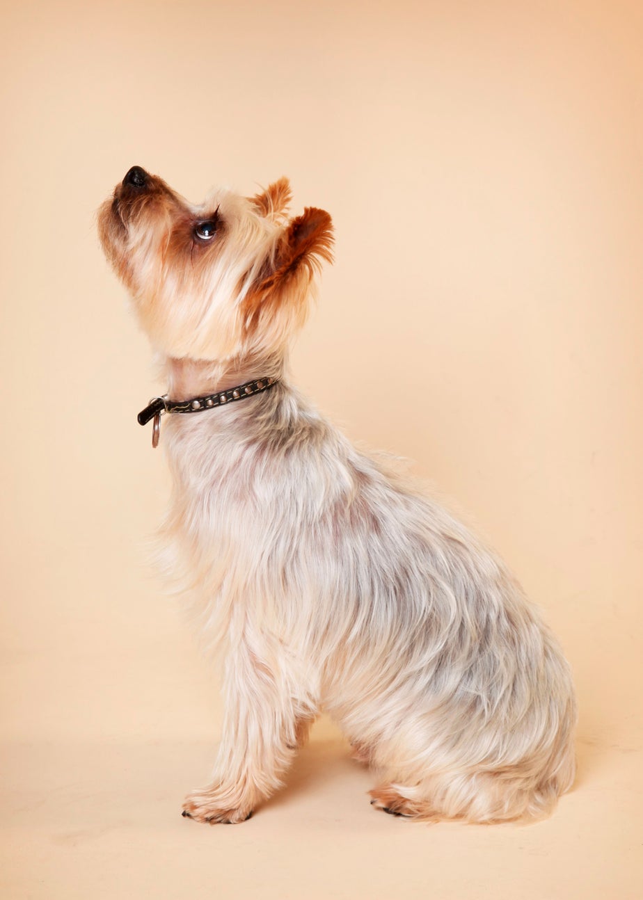 Virgin Experience Days Photoshoot Choice