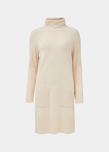 Taupe Super Soft Roll Neck Knitted Tunic Dress