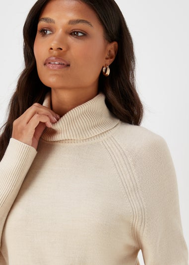 Taupe Super Soft Roll Neck Knitted Tunic Dress