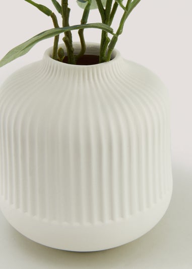 Olive Branch in Cream Ribbed Vase