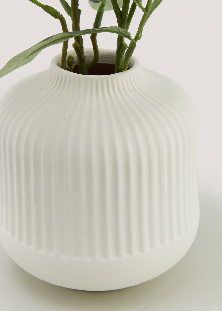 Olive Branch in Cream Ribbed Vase