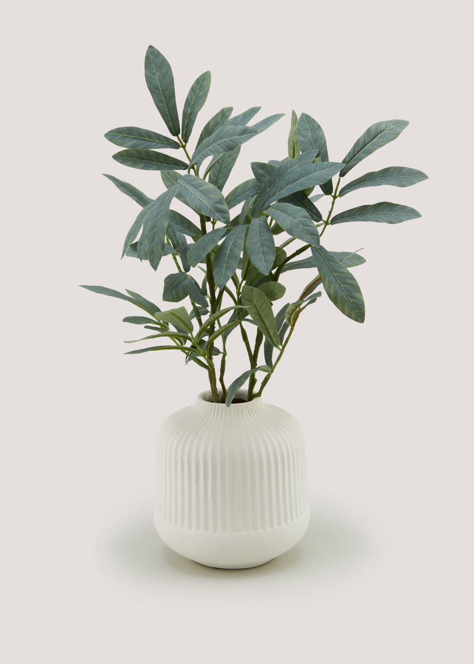Olive Branch in Cream Ribbed Vase