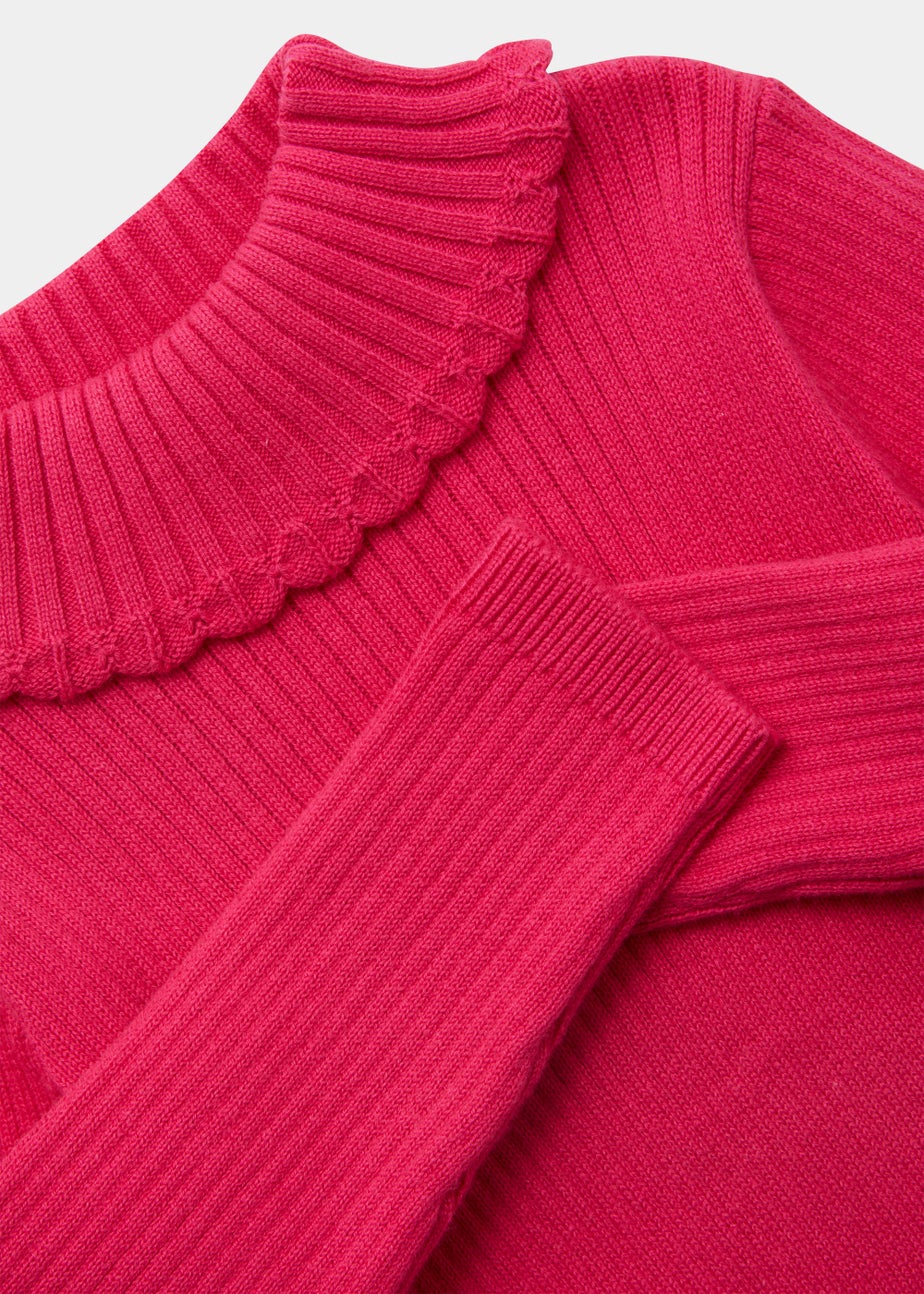 Girls Dark Pink Ribbed Roll Neck Top (9mths-6yrs)