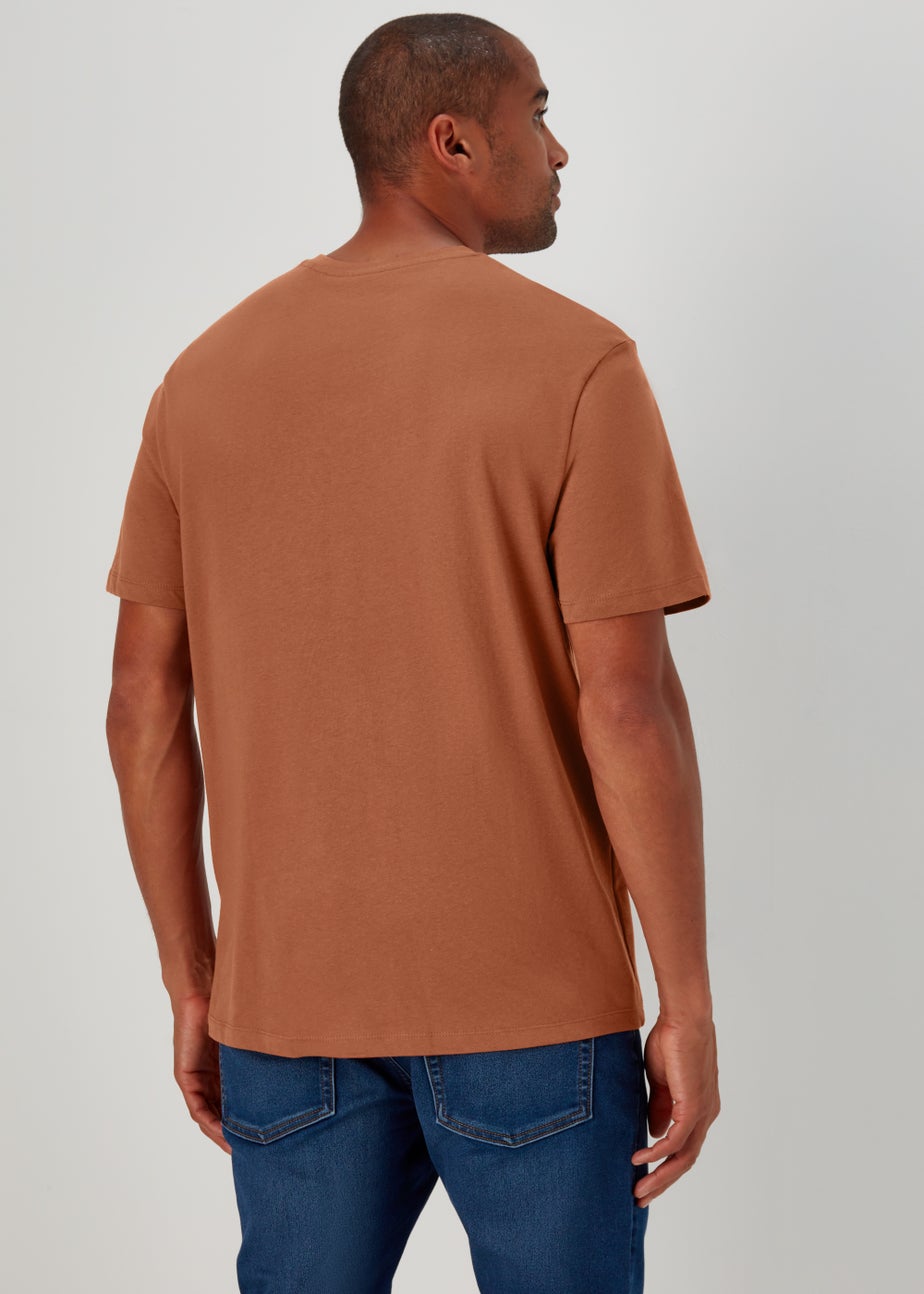 Brown Essential V-Neck T-Shirt