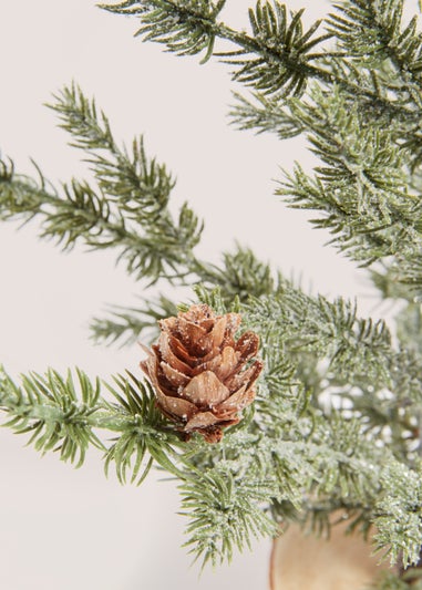 Medium Tree with Wooden Base (20cm x 20cm x 47cm)