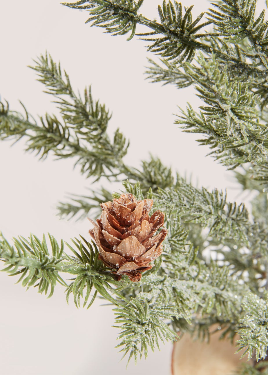 Medium Tree with Wooden Base (20cm x 20cm x 47cm)