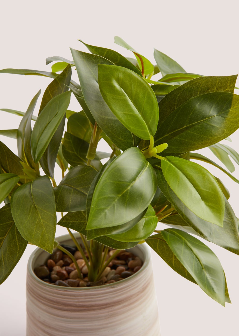 Leafy Plant Washed Pot (40cm)