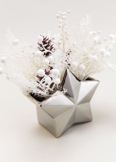 Plant in Star Vase (28cm x 16cm)