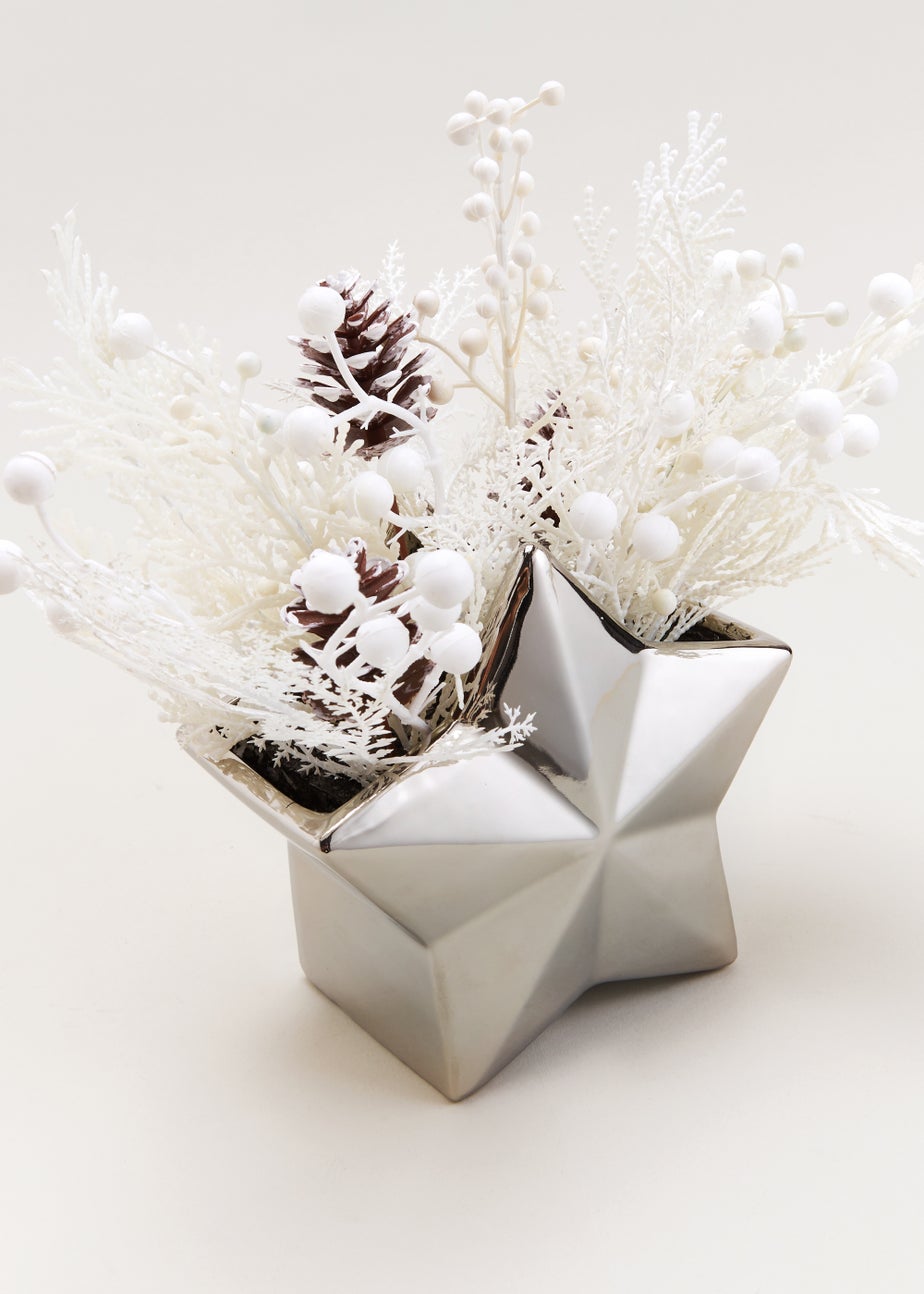 Plant in Star Vase (28cm x 16cm)