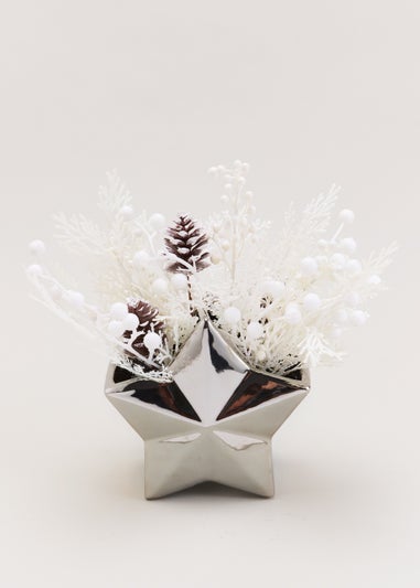 Plant in Star Vase (28cm x 16cm)