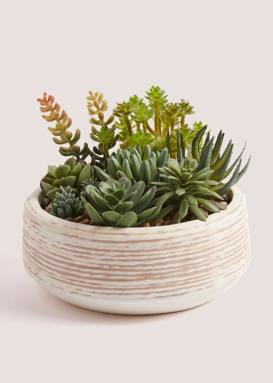 Cabana Succulents in Bowl (15cm x 14cm)
