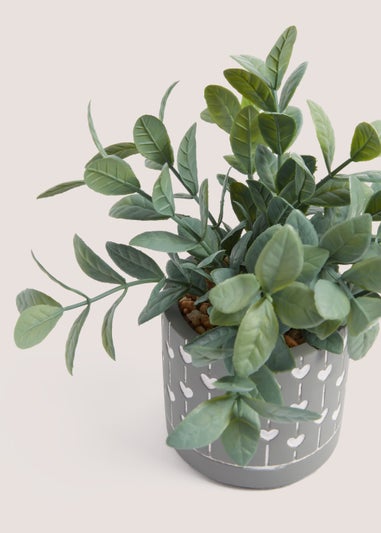 Eucalyptus in Mini Heart Pot