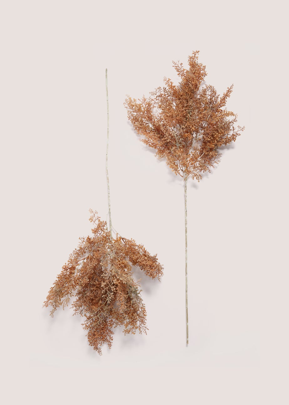 2 Pack Orange Ruscus Single Stems (85cm)