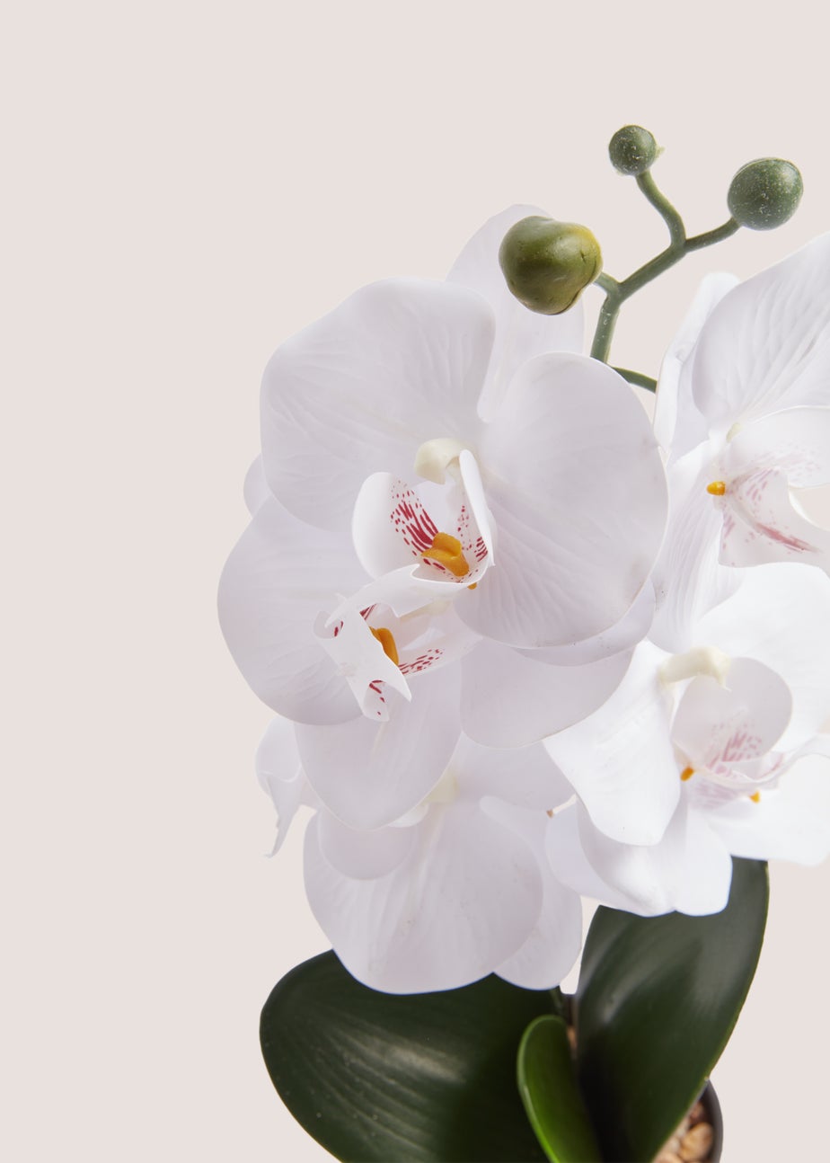 Mini Orchid Plastic Pot (38cm)