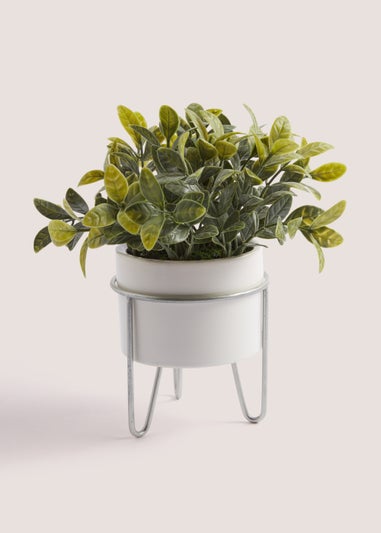 White Eucalyptus Silver Stand Pot (23cm)