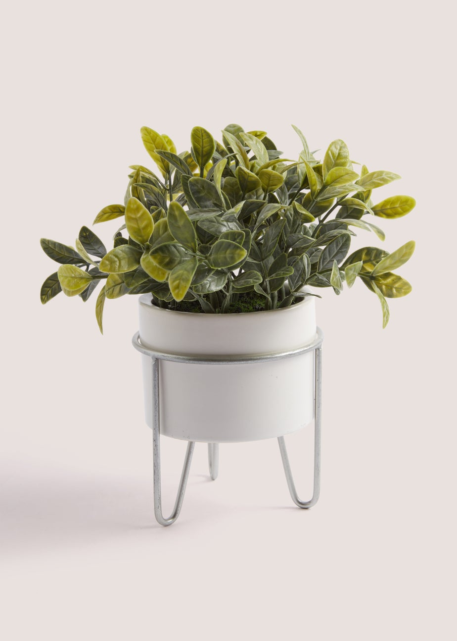 White Eucalyptus Silver Stand Pot (23cm)