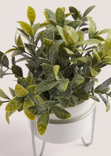 White Eucalyptus Silver Stand Pot (23cm)