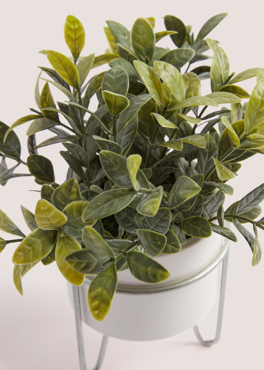 White Eucalyptus Silver Stand Pot (23cm)