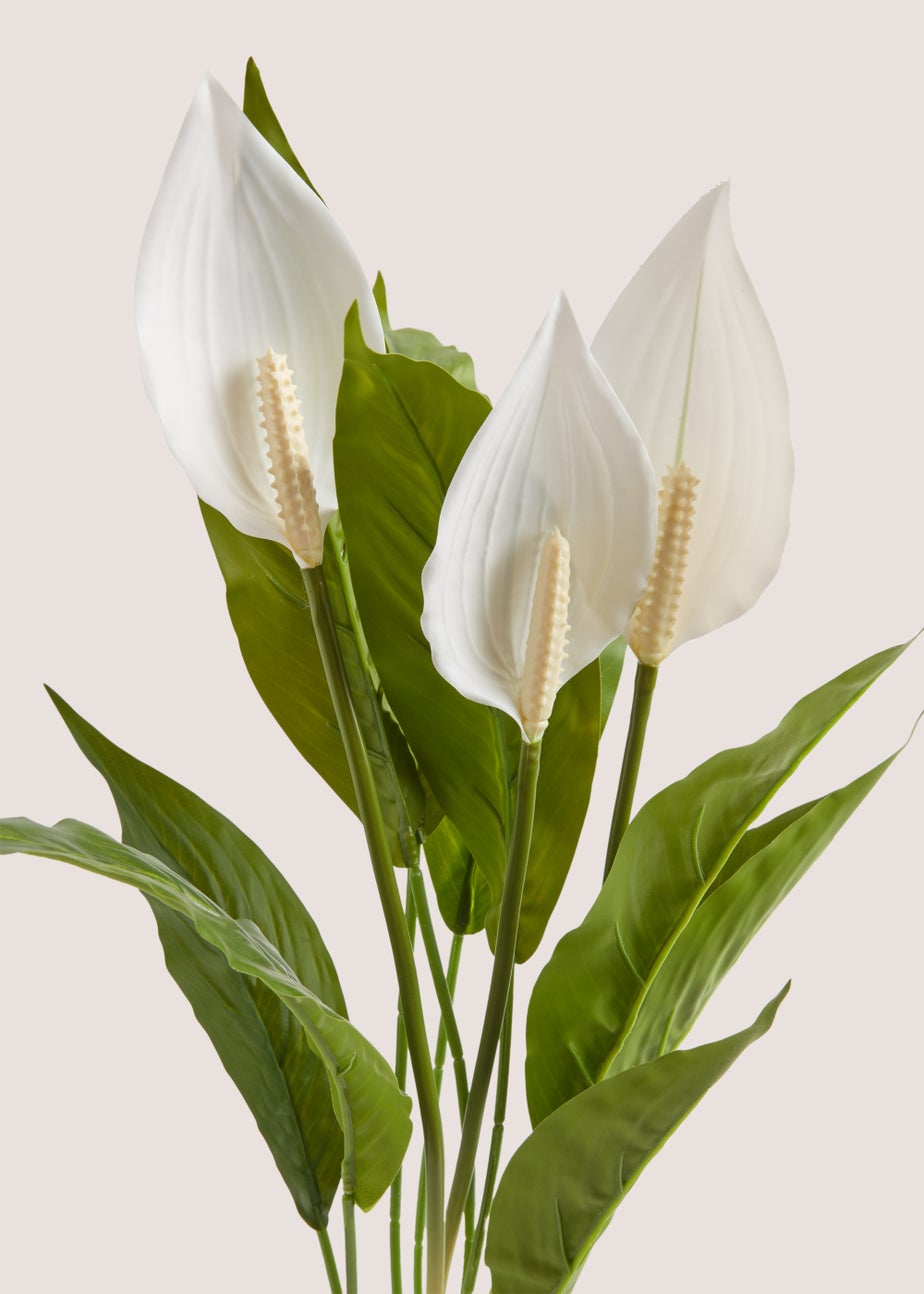 Peace Lily Ribbed Pot (62cm)
