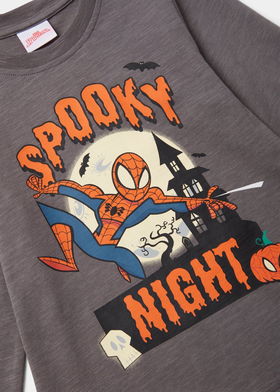 Kids Charcoal Halloween Spider-Man T-Shirt (3-8yrs)