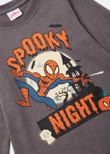 Kids Charcoal Halloween Spider-Man T-Shirt (3-8yrs)