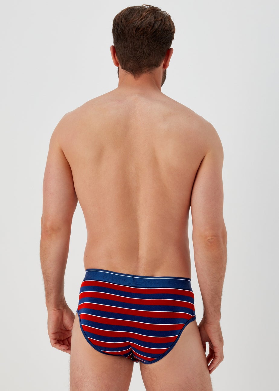 4 Pack Plain & Print Briefs